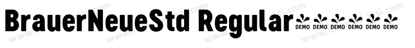 BrauerNeueStd Regular字体转换